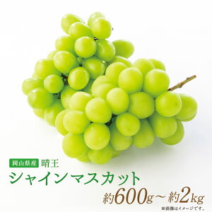yӂ邳Ɣ[ŁzIׂeʁRY VC}XJbg 600g×1[E2.0kgi3`4[j t[c  ʕ VC }XJbg Ԃǂ uhE  ① R Y R 