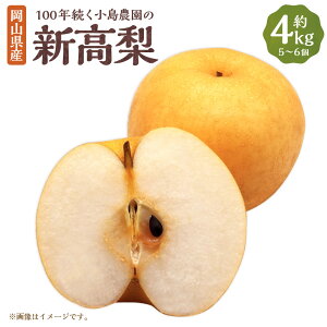 yӂ邳Ɣ[ŁzyyVE`CXz100N_̐V 4kg 5`6  iV Ȃ  ʕ ʎ t[c RY Y R 璬  y2025N10{