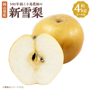 yӂ邳Ɣ[ŁzyyVE`CXz100N_̐Vᗜ 4kg 5`6  iV Ȃ  ʕ ʎ t[c RY Y R 璬  y2025N11{