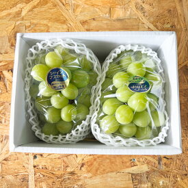 【ふるさと納税】＜選べる容量＞ ぶどう シャイン マスカット 1房 （700g以上） ／ 2房 （合計1.4kg以上） ／ 3～4房 （合計2kg以上） 2026年 先行予約 ブドウ 葡萄 岡山県産 国産 フルーツ 果物 河本農園 岡山県 美咲町 冷蔵 送料無料 【2026年9月上旬～9月下旬発送予定】