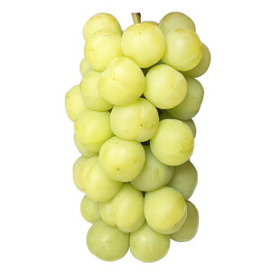 yӂ邳Ɣ[ŁzԂǂ ˃WCAc 3[ iv2kgȏj 2026N s\ YԂǂ uhE  炲 RY Y t[c ʕ ͖{_ R 璬 ①  y2026N