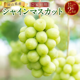 【ふるさと納税】＜選べる内容量＞ご家庭用 シャインマスカット 2～3房（1kg以上） / 3～5房（2kg以上） マスカット ぶどう ブドウ 葡萄 くだもの 果物 果実 フルーツ 冷蔵 岡山県産 国産 岡山県 美咲町 送料無料 【2026年8月下旬から10月上旬頃発送予定】