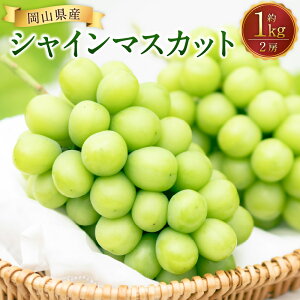 �y�ӂ邳�Ɣ[�Łz�V���C���}�X�J�b�g 2�[�i1kg�ȏ�j �}�X�J�b�g �Ԃǂ� �u�h�E ���� �������� �ʕ� �ʎ� �t���[�c �① ���R���Y ���Y ���R�� ���璬 �������� �y2026�N8�����{����10����{��