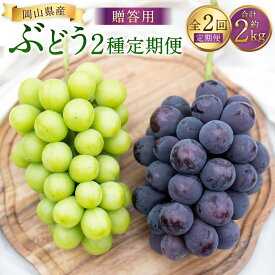 【ふるさと納税】【2回定期便】贈答用 ピオーネ or オーロラブラック 2房（1kg以上）& シャインマスカット 2房（合計1kg以上） マスカット ぶどう ブドウ 葡萄 くだもの 果物 果実 フルーツ ギフト 冷蔵 国産 岡山県産 美咲町 送料無料 【2026年7月下旬から順次発送予定】