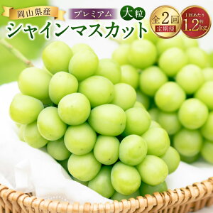 �y�ӂ邳�Ɣ[�Łz�y2�����ցz�v���~�A���嗱�E��[ �V���C���}�X�J�b�g 1�񂠂���2�[�i1.2kg�ȏ�j �}�X�J�b�g �Ԃǂ� �u�h�E ���� �������� �ʕ� �ʎ� �t���[�c �① ���R���Y ���Y ���R��