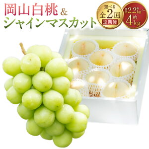 �y�ӂ邳�Ɣ[�Łz���I�ׂ���e�ʁ��y2�����ցz���R�����i�������� or ������ܖ������j&�V���C���}�X�J�b�g �� ���� ���� �}�X�J�b�g �Ԃǂ� �u�h�E ���� �������� �ʕ� �ʎ� �t���[�c ��