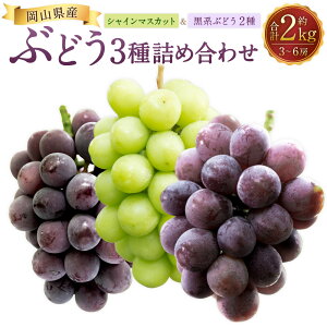 �y�ӂ邳�Ɣ[�Łz���܂����Ԃǂ� 3�i�� �l�ߍ��킹 2kg�i3�`6�[�j �V���C���}�X�J�b�g �}�X�J�b�g �Ԃǂ� �u�h�E ���� �������� �ʕ� �ʎ� �t���[�c �Z�b�g �① ���R���Y ���Y ���R�� ���璬 