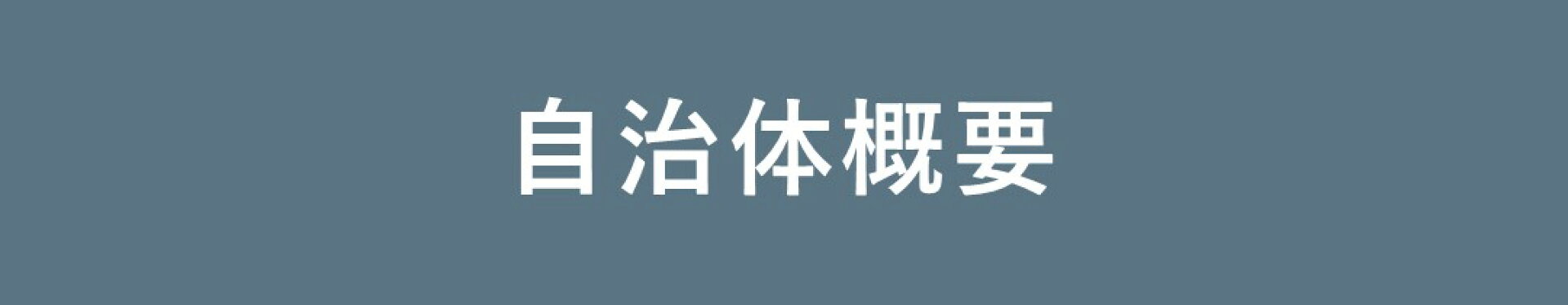 自治体概要ページ