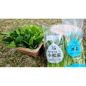 【ふるさと納税】小松菜、水菜の詰め合わせ 各12束