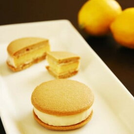 【ふるさと納税】＼年内発送／こだわりの味わいでシリーズ販売100万個超！広島レモンのサブレケーキ 8個入