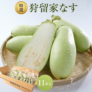 �y�ӂ邳�Ɣ[�Łz�y��s�\��z�뗯�ƂȂ� 11�{ ��2026�N7���`�����J�n�� | �֎q �i�X ��� ���_�� �`����� �������� �������� �l�C �L���� �L���s