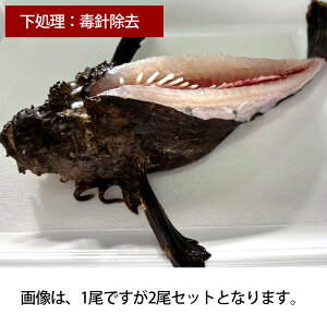 yӂ邳Ɣ[Łzy@Izys\z߃IR[2Zbgi2lOj||t Ջ   g