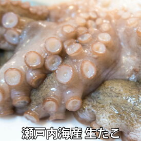 【ふるさと納税】活き締め真たこ1ぱい約1kg　レシピ付き 蛸 生 刺身