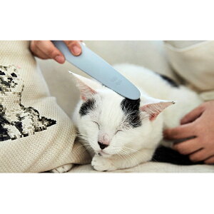 猫 キャラクター雑貨の人気商品 通販 価格比較 価格 Com