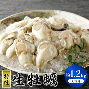 yӂ邳Ɣ[Łz s\ y 2025N 12 蔭zۏ\Y I y ނg 1.2kg (600g×2) ① Y H L ˎY kނsv y  JL | Z VN  ~ { s