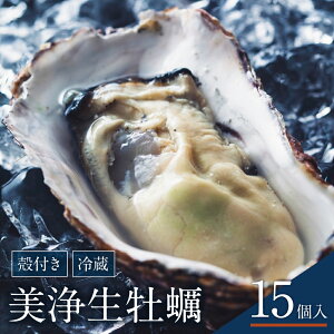 yӂ邳Ɣ[Łzs\ 쐅Y  y ( kt ) 15 yiCt   ty2025N12{蔭z y JL  Y kt ① Ăy y y CN  