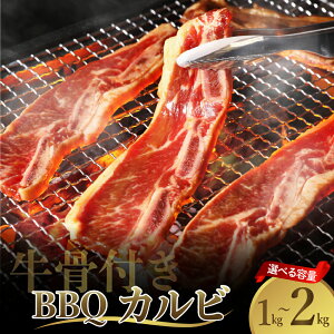 yӂ邳Ɣ[Łz_r[Ly[^ t BBQ Jr e Iׂi 1kg / 2kg j2 4 Zbg Ⓚ zIׂ 500g  ē o  t XyAu t vR