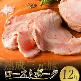 【ふるさと納税】 熟成 三元豚 プレミアム ローストポーク 計 1.2kg 豚肉 ブロック 肉 小分け パック 低温熟成 人気 おつまみ 惣菜 おかず サラダ ポークステーキ お祝い 誕生日 記念日 お取り寄せグルメ 送料無料 広島県 呉市