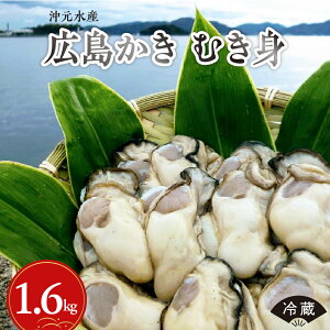 yӂ邳Ɣ[Łz s\ Y L ނg 1.6kg ( 800g × 2 )y 2026N 1 {蔭z Hp ① Y y y JL | Z VN   CN  st