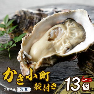 yӂ邳Ɣ[Łz12IׂI s\ kt  13 LTCY cY Nz zIׂ 嗱 JL y y kt ֗ Zbg  CN ~ { Yn 
