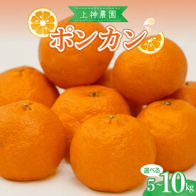 【ふるさと納税】先行予約 ポンカン【内容量が選べる】 約 5kg / 約10kg 【2026年1月中旬～発送】みかん 蜜柑 フルーツ 果物 柑橘 ビタミンC 甘い 完熟 ジューシー ジュース 上神農園 食物繊維 クエン酸 疲労回復 瀬戸内海 お取り寄せ 送料無料 産地直送 国産 広島県 呉市