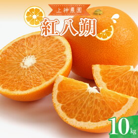 【ふるさと納税】先行予約 上神農園 の 紅八朔 約 10kg 【2026年3月上旬～発送】みかん 蜜柑 はっさく ハッサク フルーツ 果物 柑橘 お取り寄せグルメ 産地直送 国産 甘い ジューシー うまみ 完熟 酸味 果実 爽やか ジュース ビタミン 果汁 甘味 香り 送料無料 広島県 呉市