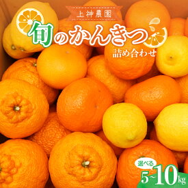 【ふるさと納税】先行予約 旬の柑橘 詰め合わせ 約5kg / 約10kg【2025年11月中旬～発送】内容量が選べる ミカン 詰め合わせ 柑橘 果物 フルーツ お取り寄せ ジューシー 甘い ポンカン 不知火 しらぬい オレンジ 甘夏 八朔 はっさく レモン 檸檬 冬 爽やか 広島県 呉市