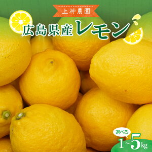 yӂ邳Ɣ[Łz__  LY  1kg / 2.5kg / 5kgy2025N11`zeʂIׂ { t[c ʕ k Yn CG[ T[ JNe  XC[c