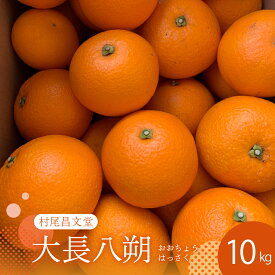 【ふるさと納税】【 2026年 2月 上旬～発送】瀬戸内 大崎下島産 大長八朔 10kg 先行予約 はっさく 八朔 みかん ミカン 柑橘 果物 フルーツ 甘い ジューシー 産地直送 お取り寄せ 常温配送 送料無料 大容量 数量限定 期間限定 瀬戸内 広島県 呉市