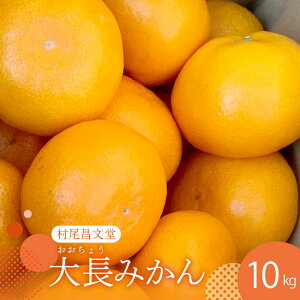 yӂ邳Ɣ[Łzy 2025N 12 {`zLY  咷݂ 10kg ݂ ~J k ʕ t[c \  L s 咷 ʎ ʏ` W[V[ Â Ö _ RN u