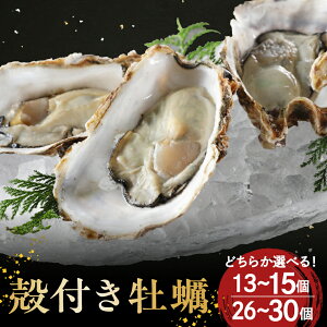 yӂ邳Ɣ[ŁzC炻̂܂ kt y Iׂ 13`15 / 26`30 y s\ z쐅Y tbVMtg LY ① Y  VN CN   Ă o[x