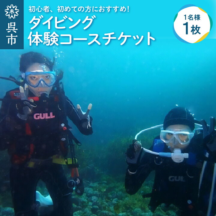 楽天市場】【ふるさと納税】体験 ダイビング コース (1ダイブ 