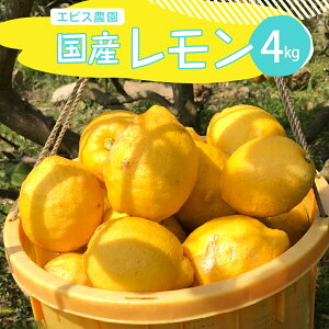yӂ邳Ɣ[Łz 2025N 12 {`y͔|Ԓ _sgpzL@JASF ܂Ŕ 󏭂ȍYI[KjbN 1kg / 2kg / 4kg / eʂIׂ  lemon t[c ʕ