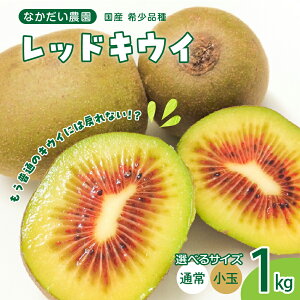 yӂ邳Ɣ[Łzs\ 󏭕i bhLEC 1kg / 1kgy2025N9{`zIׂe Ȃ_ ͔|Ԓ h w엿 _sgp LEC LECt[c t[c