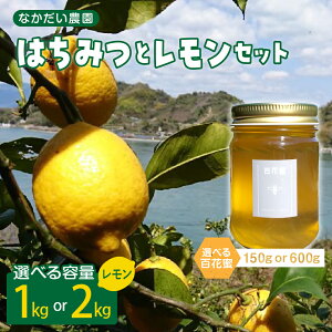 yӂ邳Ɣ[Łz2025N 12`y M E ݂͂zSԖ 150g / 600g y͔|Ԓh܁E_EbNXsgpz 1kg / 2kg Zbg eʂIׂ n`~c nj[ 