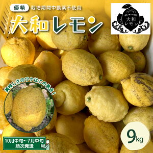 yӂ邳Ɣ[Łzs\ a Iׂe ͔|Ԓ _sgp 2.5kg 4.5kg 9kg y2025N10{`zVN Ɏn EG  ʕ  t[c k  L