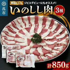 yӂ邳Ɣ[Łz_r[Ly[^ r[]uCv ̂ 3pbN Zbg v850g p O ڂ ̂`   WrG [X   lߍ