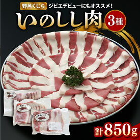【ふるさと納税】＼レビューキャンペーン／ ★レビュー高評価★「野呂くじら」 いのしし肉 3パック セット 計850g 鍋用 牡丹肉 ぼたん鍋 いのしし汁 肉 猪肉 ジビエ ロース うで もも 詰め合わせ 食べ比べ お取り寄せグルメ 送料無料 広島県 呉市