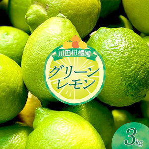 yӂ邳Ɣ[Łzck LY uO[v3kg  EG lemon t[c ʕ k l[h  L s T[ ˓ Y Yn XpCV[