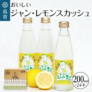yӂ邳Ɣ[ŁzGߌ ʌ WE XJbV 200ml × 24{ Y_ EG k ʏ` ₩ Y_ n Y  퉷z  L s