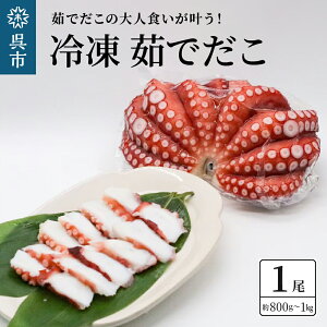 yӂ邳Ɣ[ŁzⓀ 䥂ł 1 ( 800g ` 1kg )  ^R   hg |̕ g Ă L s