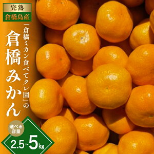yӂ邳Ɣ[Łzs\ q݂  2.5kg /  5kg ( ʏ or  ) q~JHׂăNy2025N11{`z Iׂe TCY ʕ t[c k  ~J  st