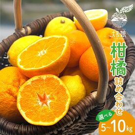 【ふるさと納税】 先行予約 大長プロジェクト 大長娘 柑橘 詰め合わせ 約 5kg / 約 10kg【2026年2月初旬～発送】レモン 檸檬 ミカン 蜜柑 フルーツ 果物 セット お取り寄せ 産地直送 送料無料 国産 甘味 濃厚 大長みかん ジューシー 先行受付 数量限定 大容量 広島県 呉市