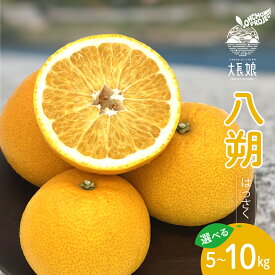 【ふるさと納税】先行予約 大長プロジェクト 大長娘 八朔 約 5kg / 約 10kg【2026年2月初旬～発送】内容量が選べる はっさく フルーツ 果物 柑橘 みかん お取り寄せグルメ 国産 国内産 送料無料 産地直送 大容量 数量限定 広島県 呉市