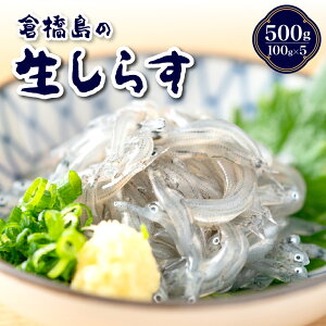 yӂ邳Ɣ[Łz VX 500g ( 100g × 5 ) VN { 炷 炷  uԗⓀ Y KICHIAMI ˓ Yn      uh CN CY L