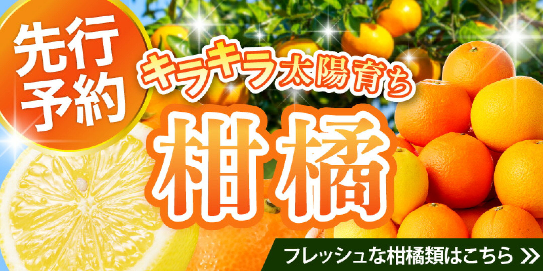 瀬戸内のキラキラ太陽育ち 柑橘