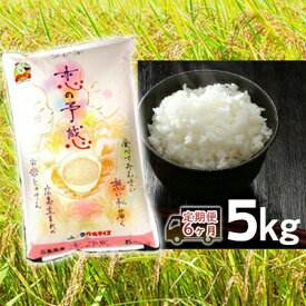 【ふるさと納税】【6ヶ月定期便】2024年産収穫「恋の予感」精米5kg【定期便・ お米 ライス 白米 ご飯 炭水化物 主食 おにぎり 直送 新品種 やや大粒 もちもち 弾力 お弁当 広島県産 】※2024年11月下旬頃より順次発送予定