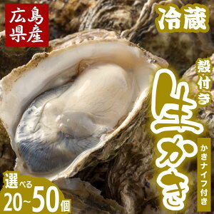 yӂ邳Ɣ[ŁzMĂk݂ɂILY y kt 500g`2kg n}~cCY Iׂz b Iׂe ①z y y  JL ICX^[ CY L  2