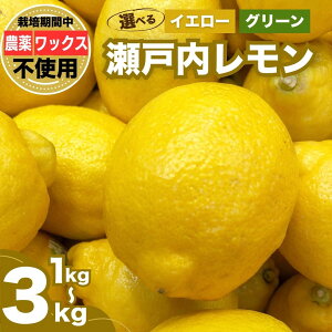 yӂ邳Ɣ[ŁzyIׂށEeʁz ˓ CG[ O[ 1`3kg ͔|Ԕ_sgp ܂ŐHׂ |  EG Ƃ _sgp w엿sgp 