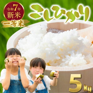 yӂ邳Ɣ[Łzߘa7NxV LY RVqJ 5kg ꓙ āy   V LY ނ ͂ Sn  R ɂ Yz